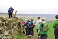 Farndale - April 2014