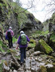 Trollers Gill - May 2013