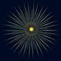 Chrysanthemum