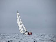 May Day 2015 Regatta