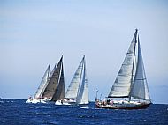 Cancer Fund Raising Regatta