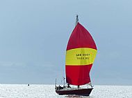 Spinnaker