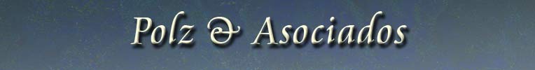 POLZ & ASOCIADOS