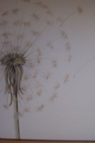 Dandelion canvas