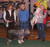 York Canine Association