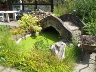 Jimmy's pond and bridge