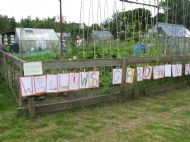 The Willows School Plot