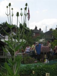 View across the School plot to the BBQ