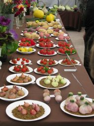 Shallots and Tomatoes