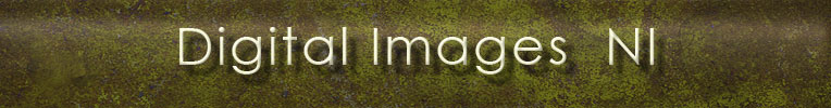 Digitalimagesni