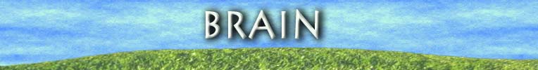 BRAIN
