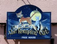 Romping Cat.