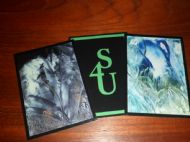 sample ENCAUSTIC ORACLE CARDS