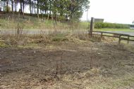 Cleared entrance to Woodland Walk