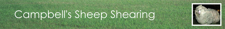 Cam Hill Shearing