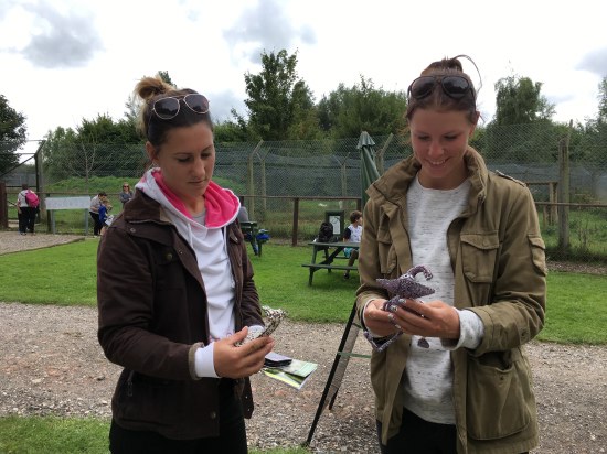 pdc-uk visits uk wolf conservation trust