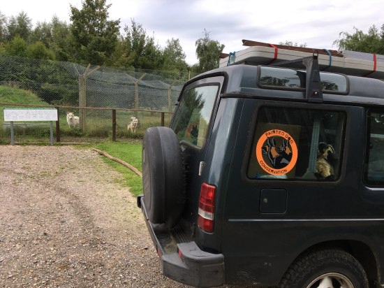 pdc-uk visits uk wolf conservation trust