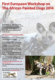 first european workshop on the african painted dogs 2014