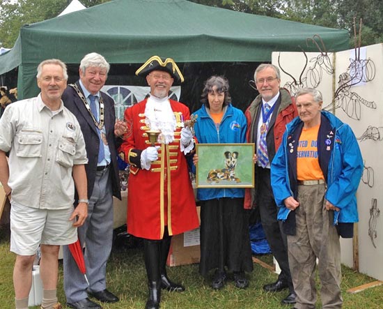 pdc uk at newbury waterways festival 2015