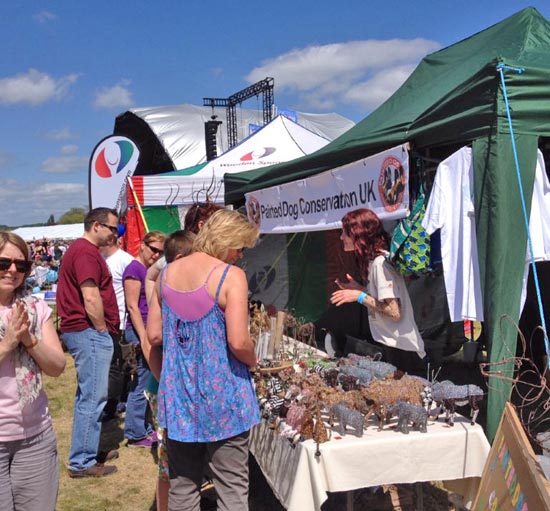 pdc uk at rock the moor 2015