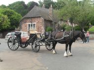 Horse and carriage at Cockington