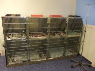 Hospitalisation Facilities