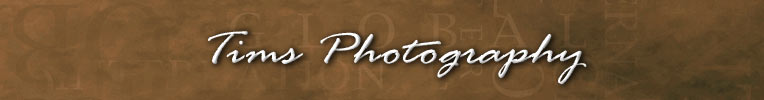 Tims Photography