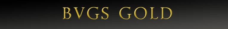 BVGS GOLD