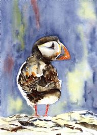 Standing puffin