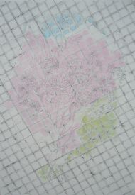 Graphite, pastel on paper