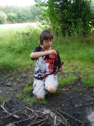 summer 2012