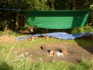 summer 2012