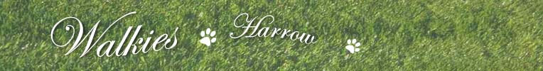 walkiesharrow