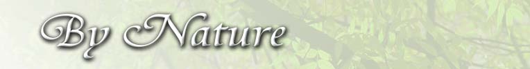 by Nature