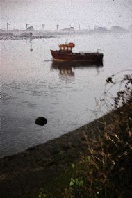 River Axe in the mist