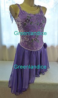 Purple Latin/Tango dress