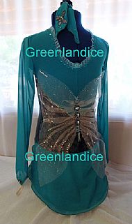 Fairy Dress Back View