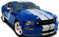 Shelby Mustang