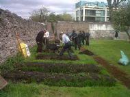 Volunteers In The Garden 7