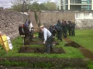 Volunteers In The Garden 8