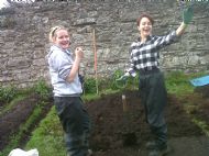 Volunteers In The Garden 10