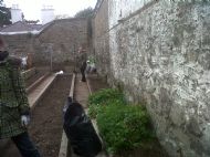 Volunteers In The Garden