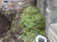 Compost