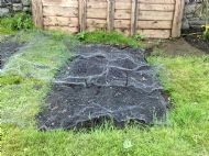 Onions under mesh