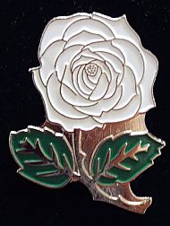 D3 WHITE ROSE ENAMEL BADGE