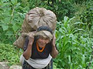 Carrying potatoes