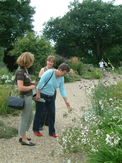 beth chatto garden visit august 2008