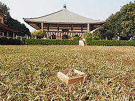 Zen zen