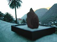 Palms in the valley