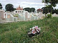 Floral tribute